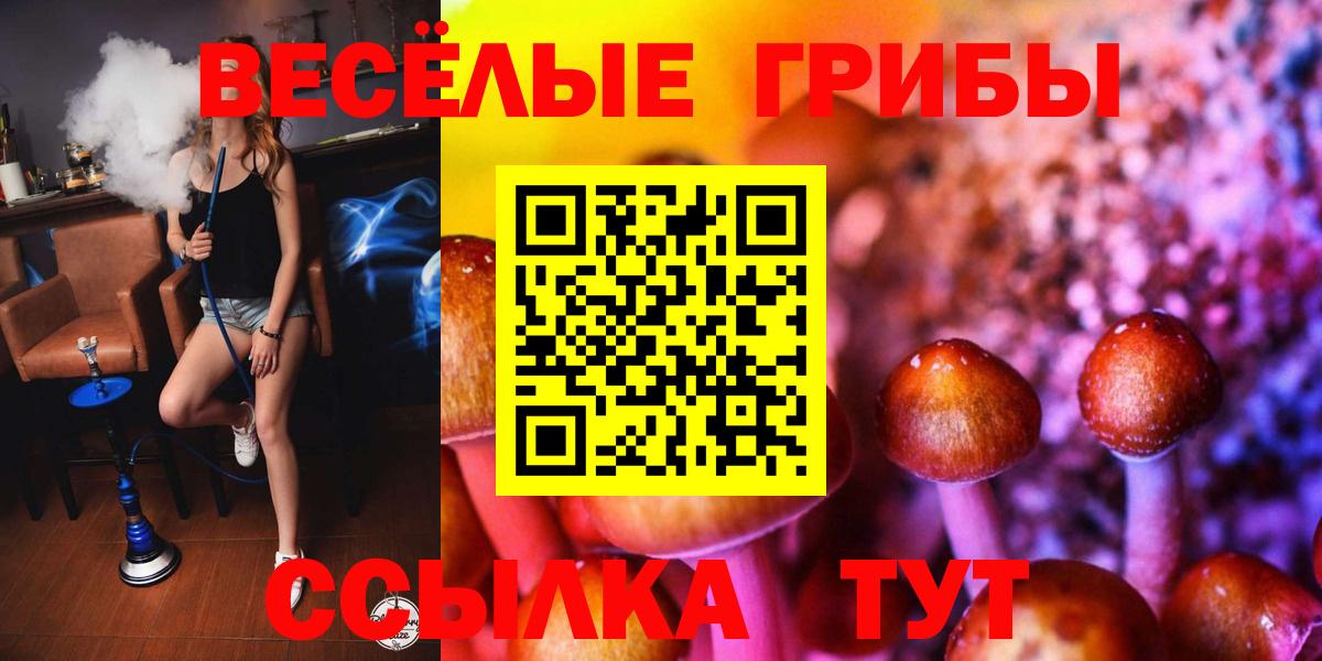 цены наркотик  Вход с VPN  Майский  Псилоцибиновые грибы Magic Shrooms 