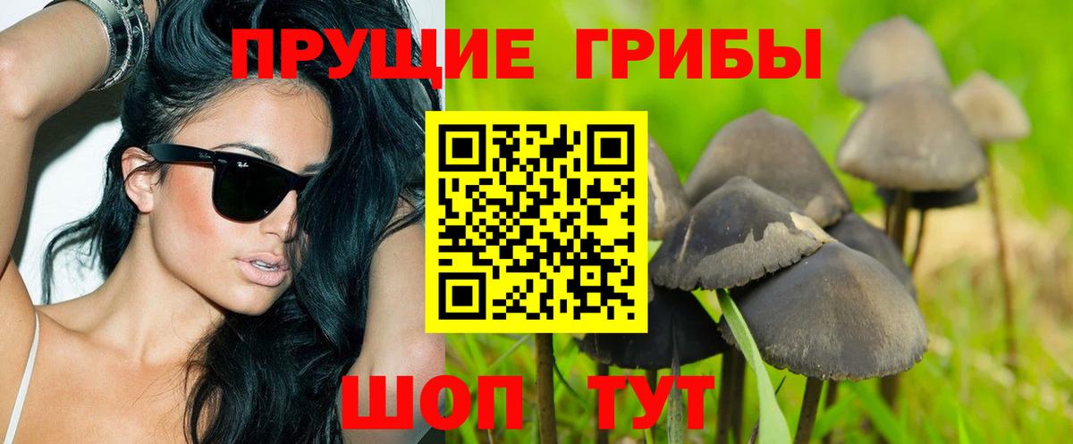Галлюциногенные грибы GOLDEN TEACHER Майский
